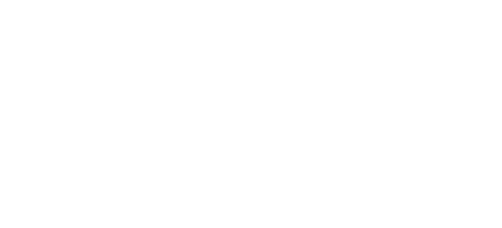 Perfection Car Dealer LLC